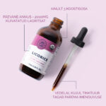 Lagritsajuur