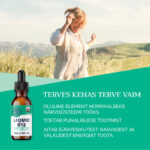 b12 vitamiin