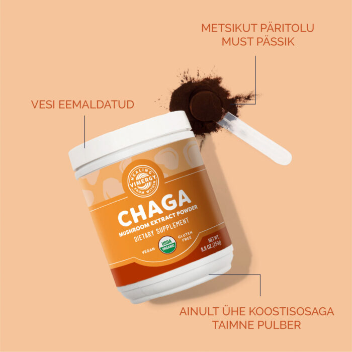 chaga