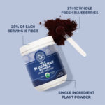 wild blueberry powder